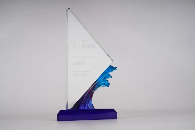 财联社2021鲸潮奖“国潮新势力最具投资价值奖”