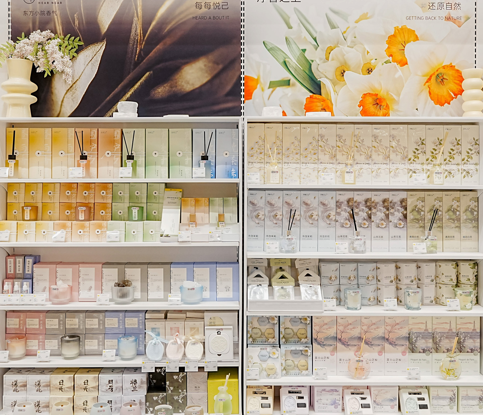 fragrance and perfume