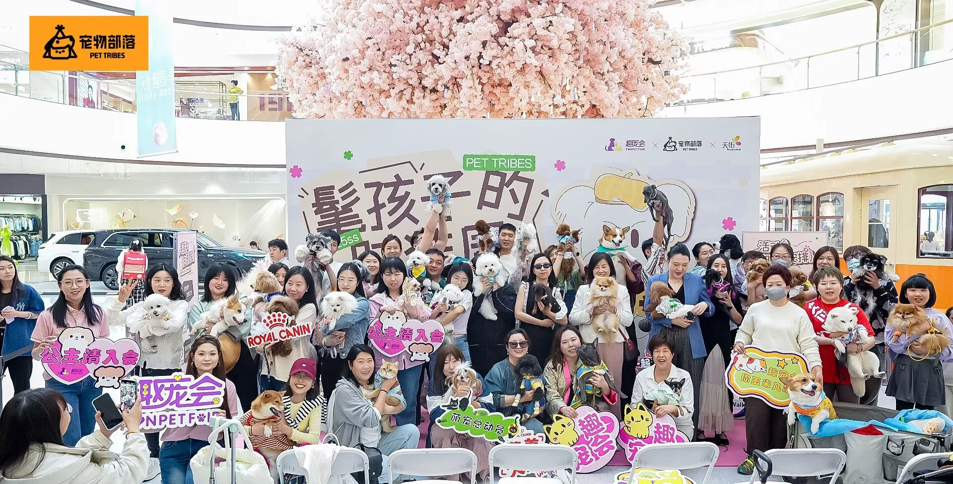 Pet Carousel 2 - [object Object]1