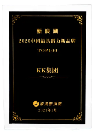 浪潮新消费新浪潮2020中国最具潜力新品牌TOP100.