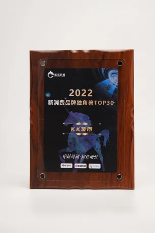 蓝鲨消费2022新消费品牌独角兽TOP30